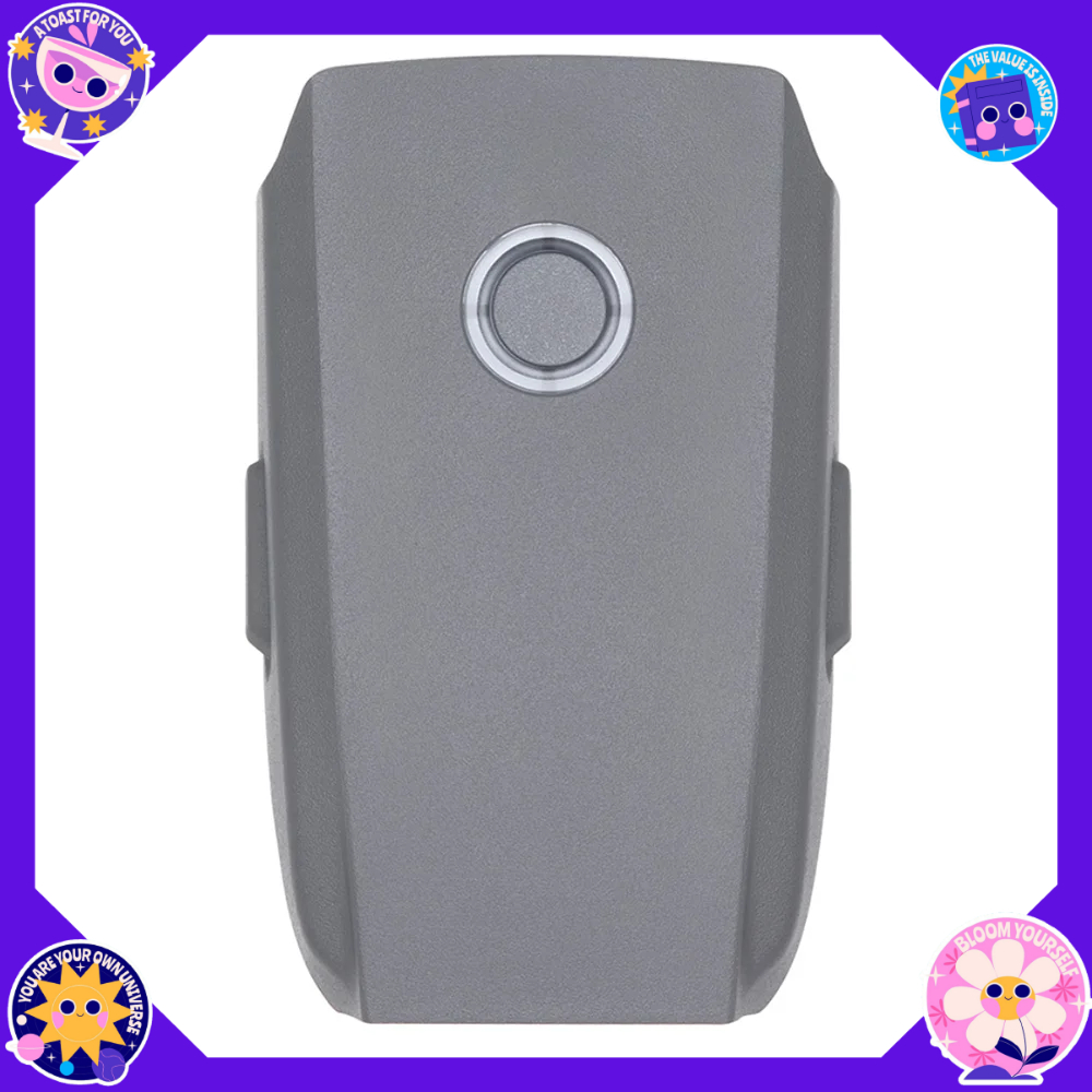 25-30 Minutes Long Flight Batt – Drone Battery Smart Bewertung und Preis